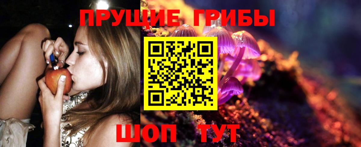 Псилоцибиновые грибы GOLDEN TEACHER  Псилоцибиновые грибы GOLDEN TEACHER  Димитровград  Вход с VPN 