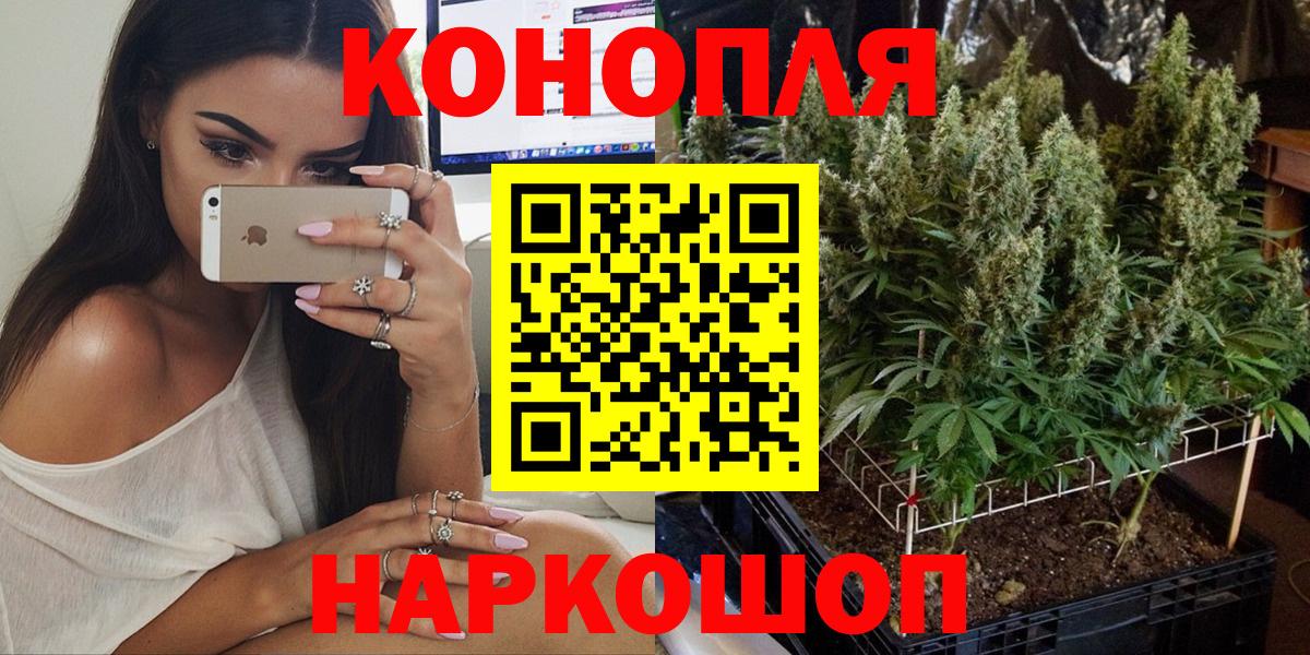 Бошки марихуана планчик  Вход с VPN  Канабис Amnesia  Димитровград  Шишки марихуана AK-47 